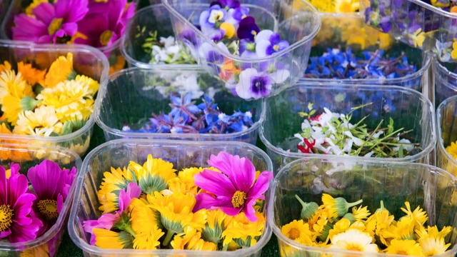 bai-viet/ban-da-biet-nhung-loai-hoa-an-duoc-tot-cho-co-the.html