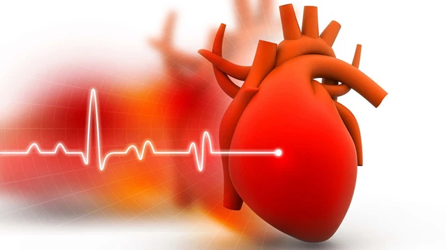 bai-viet/ban-da-biet-y-nghia-cua-chi-so-ef-trong-sieu-am-tim-chua.html