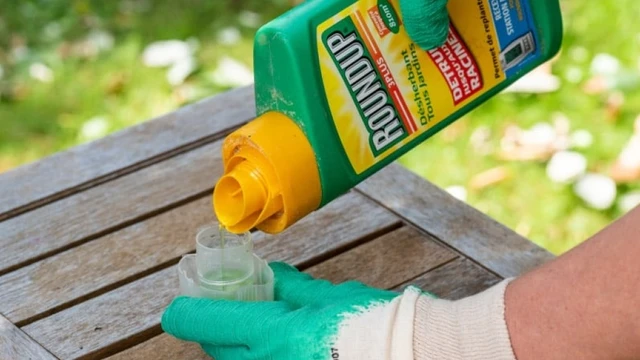 bai-viet/ban-se-gap-phai-trieu-chung-gi-khi-bi-ngo-doc-glyphosate-57090.html