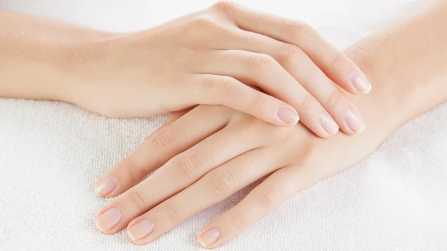 bai-viet/ban-tay-co-bao-nhieu-xuong.html