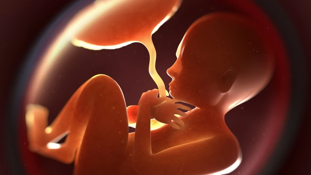Bánh nhau dày có nguy hiểm không? Giải đáp một số câu hỏi về bánh nhau dày cho mẹ bầu