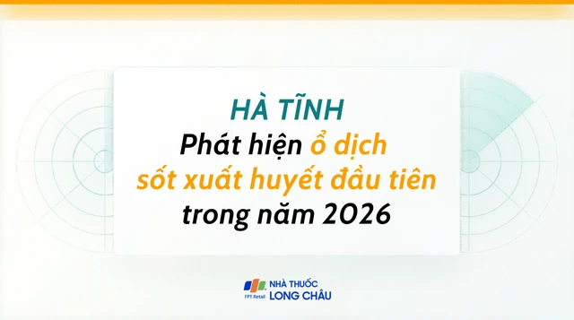 bai-viet/bao-dong-ha-tinh-ghi-nhan-o-dich-sot-xuat-huyet-dau-tien-trong-nam-2026-10009.html