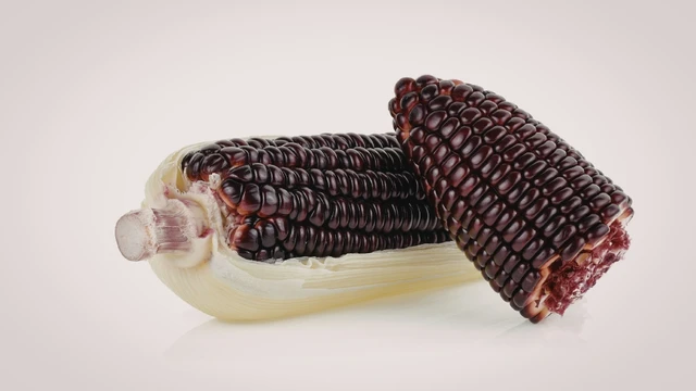 bai-viet/bap-tim-an-song-duoc-khong-loi-ich-and-luu-y-an-toan.html