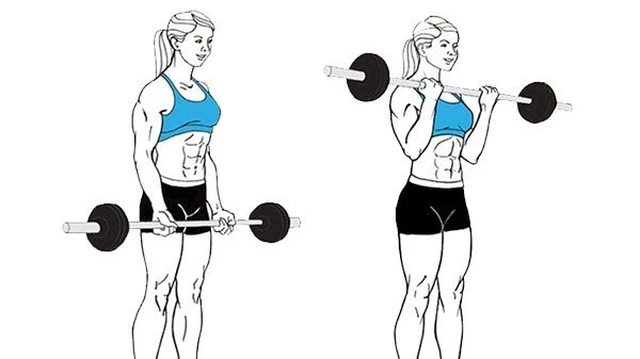 bai-viet/barbell-curl-la-gi-cach-tap-de-bap-tay-truoc-phat-trien-tot-nhat.html