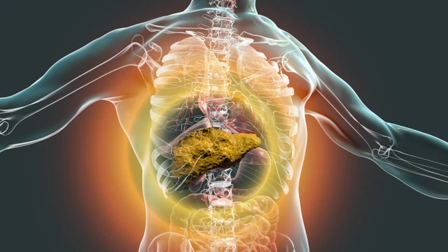 bai-viet/bat-mi-4-loai-thuoc-dieu-tri-xo-gan-tot-nhat.html