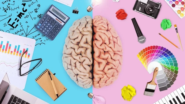 bai-viet/bat-mi-cach-phat-trien-nao-trai-cho-nguoi-lon-hieu-qua.html