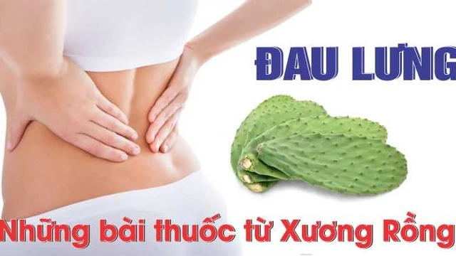 bai-viet/bat-ngo-voi-cach-chua-dau-lung-bang-cay-xuong-rong-cuc-don-gian.html