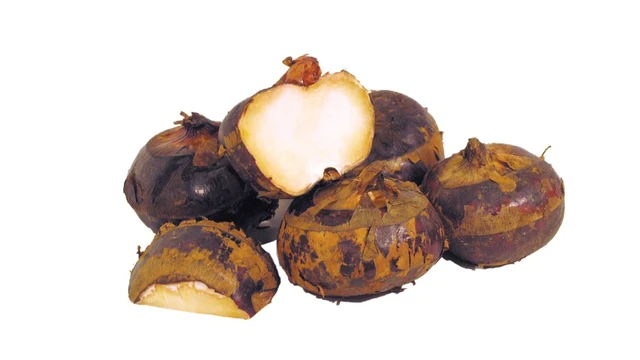 bai-viet/bau-an-cu-nang-duoc-khong-cach-an-cu-nang-tot-cho-me-bau.html