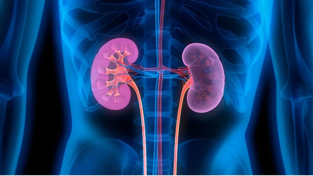 benh/benh-cau-than-mang.html