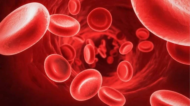 bai-viet/benh-hemophilia-a-la-gi-nguyen-nhan-va-cach-dieu-tri.html