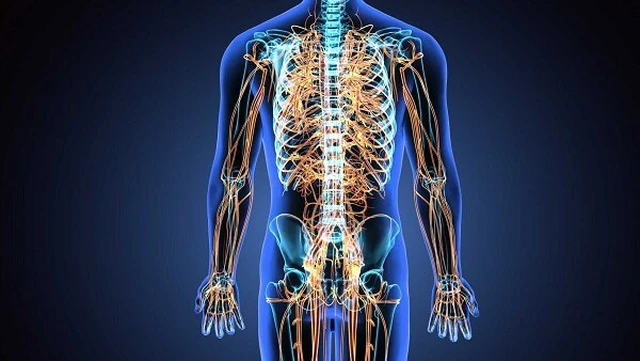 bai-viet/dau-don-day-than-kinh-nguyen-nhan-trieu-chung-va-cach-dieu-tri.html