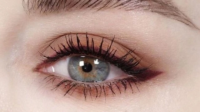 bai-viet/benh-mang-tang-sinh-truoc-vong-mac-nguyen-nhan-trieu-chung-va-cach-dieu-tri.html