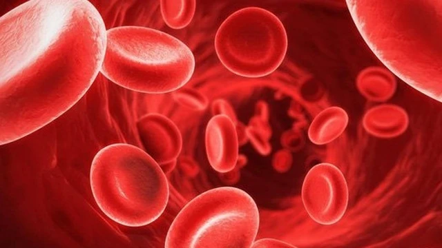 bai-viet/benh-nhiem-trung-mau-giai-doan-cuoi-nguy-hiem-nhu-the-nao.html