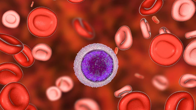 bai-viet/benh-thalassemia-di-hop-tu-la-gi-anh-huong-the-nao-den-suc-khoe.html