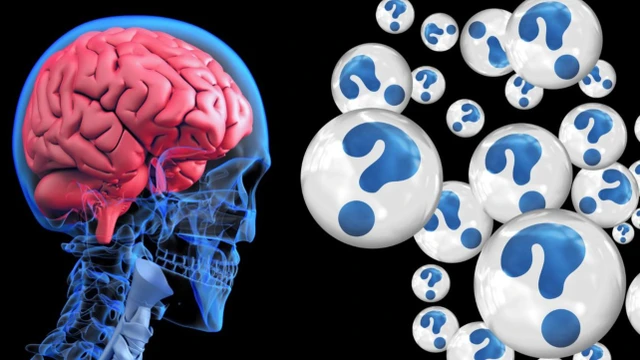 bai-viet/benh-viem-nao-mo-cau-o-tre-em-nguyen-nhan-trieu-chung-dieu-tri-va-cach-phong-ngua.html