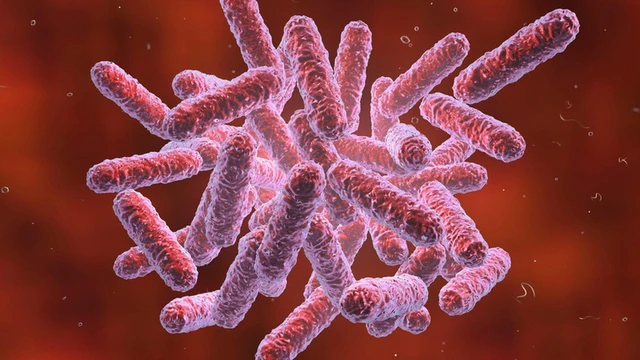 bai-viet/benh-whitmore-la-gi-va-no-nguy-hiem-nhu-the-nao.html