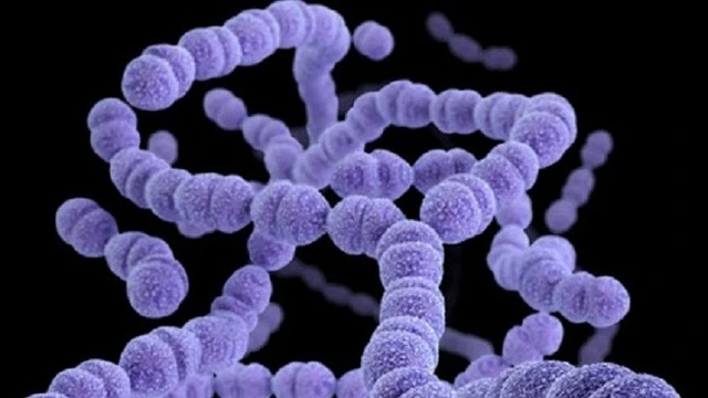 bai-viet/bi-nhiem-lien-cau-khuan-gay-benh-gi.html