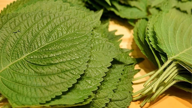 bai-viet/bi-quyet-lam-dep-bang-la-tia-to-va-nhung-dieu-can-luu-y.html