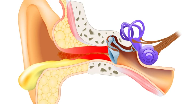 bai-viet/bi-viem-tai-giua-co-mu-can-kieng-an-gi-60022.html