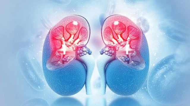 bai-viet/cac-xet-nghiem-chan-doan-viem-cau-than-hien-nay.html