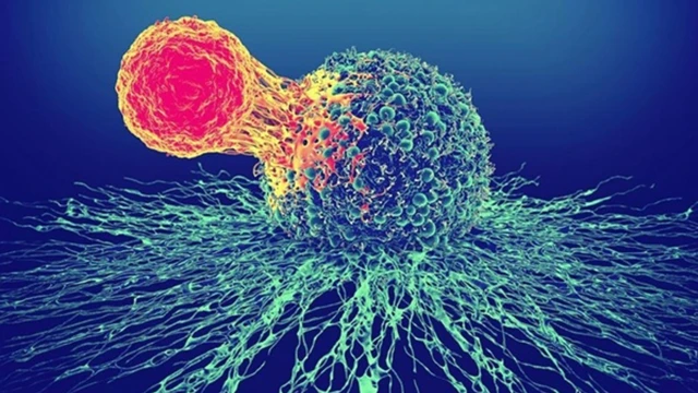 bai-viet/bien-doi-gen-moi-tang-cuong-hieu-qua-cua-te-bao-car-t-chong-lai-ung-thu.html