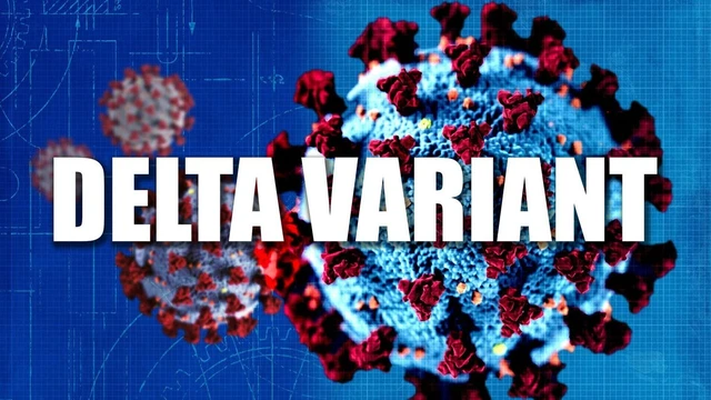 bai-viet/bien-the-delta-la-gi-moi-lo-ngai-den-tu-bien-the-virus-corona.html