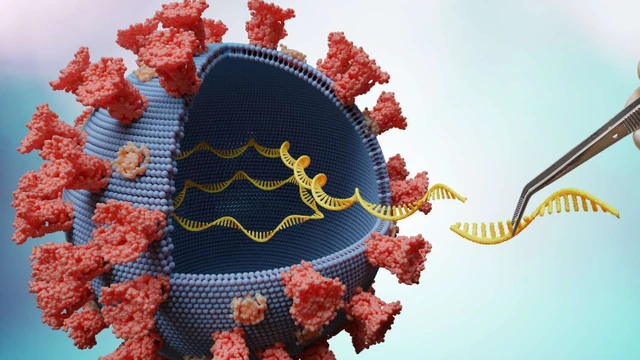 bai-viet/bien-the-la-gi-cac-bien-phap-ngan-ngua-bien-the-cua-virus-corona.html