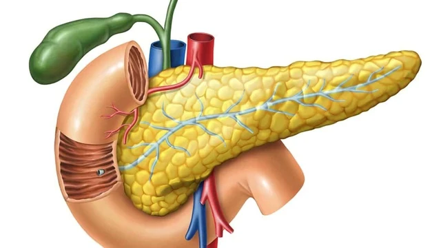 bai-viet/soi-tuy-co-nguy-hiem-khong-bieu-hien-cua-soi-tuy-la-gi.html