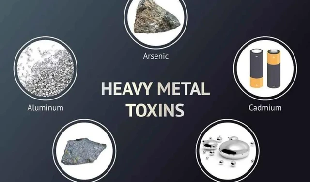 bai-viet/bieu-hien-ngo-doc-kim-loai-nang-nen-va-khong-nen-an-gi-khi-nhiem-doc-56166.html