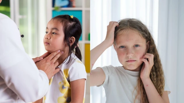 bai-viet/dieu-can-biet-ve-quai-bi-va-thuy-dau-phan-biet-chung-ra-sao.html