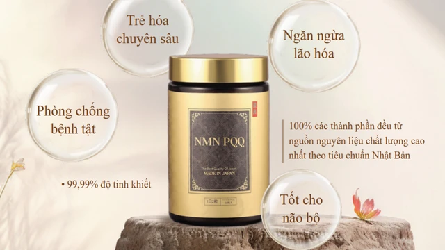 bai-viet/bo-doi-hieu-ung-hiep-dong-nmn-va-pqq-giup-duy-tri-tuoi-xuan.html