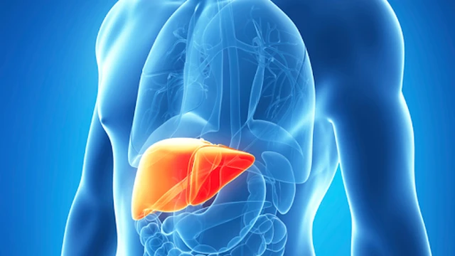 bai-viet/bo-tui-nhung-kinh-nghiem-ve-thuoc-bo-gan-ma-ban-nen-biet-55853.html