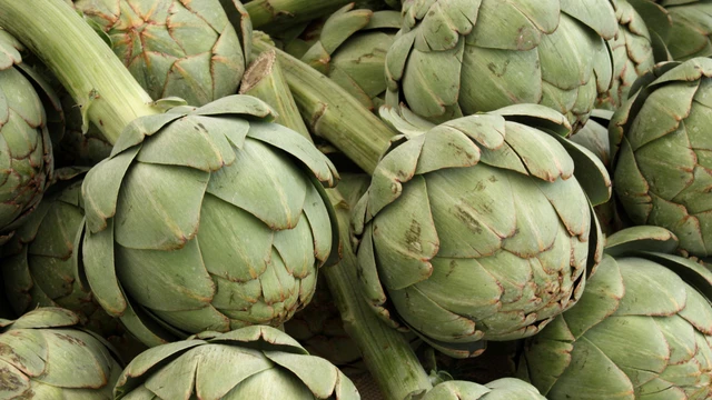 bai-viet/bong-atiso-co-tac-dung-gi-mot-so-luu-y-khi-su-dung-bong-atiso-ban-nen-biet.html