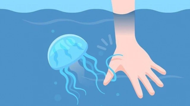 bai-viet/bong-sua-la-gi-phai-lam-gi-khi-bi-bong-sua.html