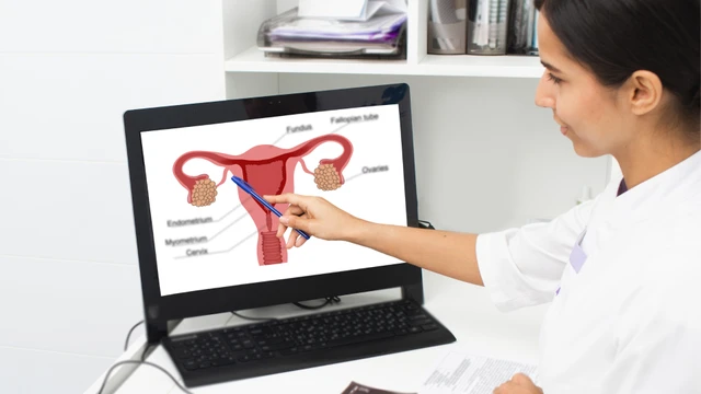 bai-viet/buong-trung-cau-tao-chuc-nang-va-cac-benh-ly-pho-bien-lien-quan-den-buong-trung.html