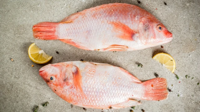 bai-viet/ca-dieu-hong-dac-diem-gia-tri-dinh-duong-va-mot-so-mon-an-ngon-de-nau-73138.html