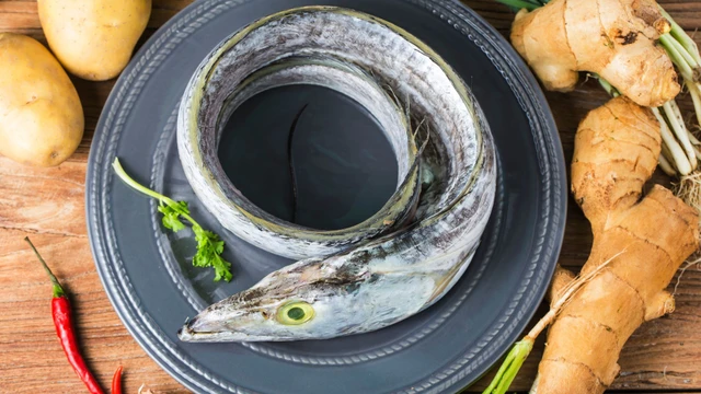 bai-viet/ca-ho-la-ca-gi-thanh-phan-dinh-duong-loi-ich-suc-khoe-va-luu-y-khi-an.html