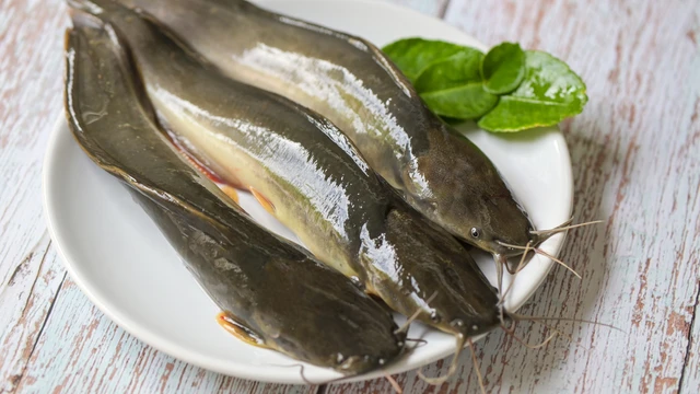 bai-viet/ca-lang-dac-diem-gia-tri-dinh-duong-va-cach-che-bien.html
