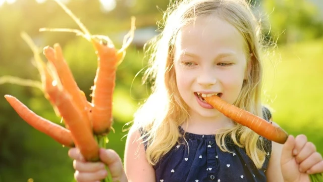 bai-viet/ca-rot-co-vitamin-gi-tot-cho-suc-khoe.html