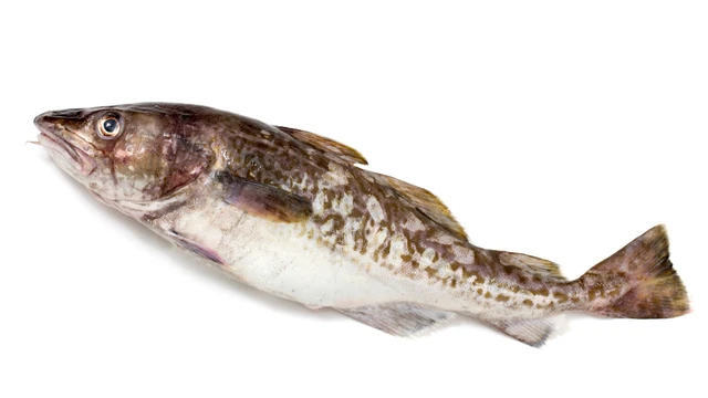 bai-viet/ca-tuyet-la-ca-gi-dinh-duong-va-loi-ich-suc-khoe-khi-an.html