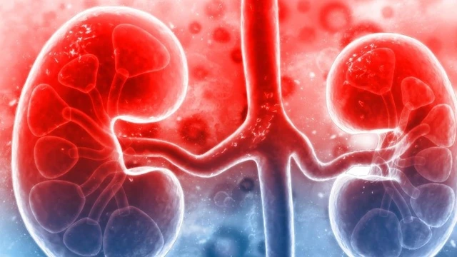 bai-viet/cac-bien-chung-cua-viem-cau-than-man-tinh.html