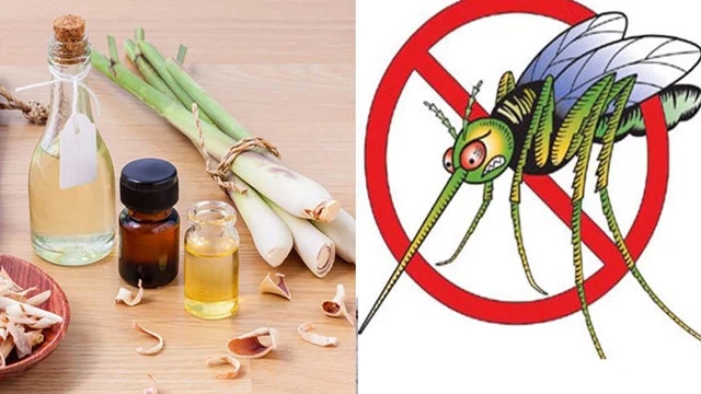 bai-viet/cac-cach-xong-tinh-dau-duoi-muoi-hieu-qua-71870.html