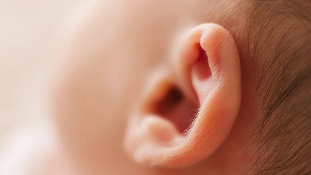 bai-viet/cac-dang-khiem-thinh-thuong-gap-va-dac-diem-cua-tung-loai-khiem-thinh-ma-ban-nen-biet.html