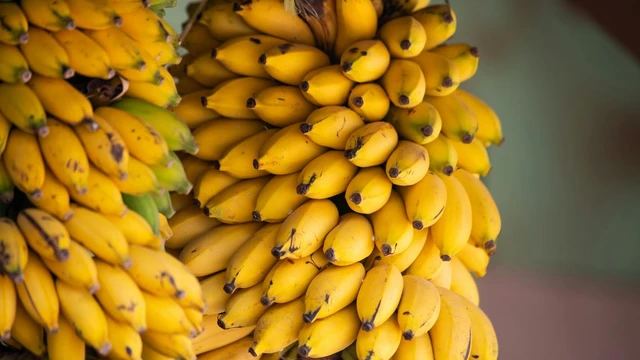 bai-viet/cac-loai-chuoi-o-viet-nam-va-loi-ich-suc-khoe-khien-nhieu-nguoi-bat-ngo.html