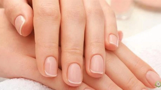 bai-viet/cac-thay-doi-o-mong-cua-nguoi-benh-ung-thu-53878.html