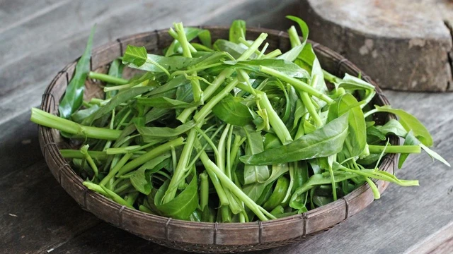 bai-viet/cach-bao-quan-rau-muong-khi-khong-co-tu-lanh-va-loi-ich-suc-khoe-tu-rau-muong.html