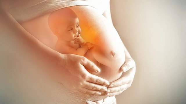 bai-viet/cach-cham-soc-thai-ivf-3-thang-dau-de-me-va-be-an-toan-khoe-manh.html