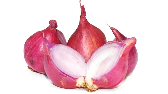 bai-viet/cach-chua-chai-chan-bang-hanh-tim-65995.html