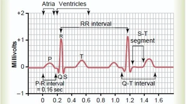 bai-viet/cach-doc-dien-tam-do-va-mot-so-dieu-can-biet-ve-dien-tam-do.html