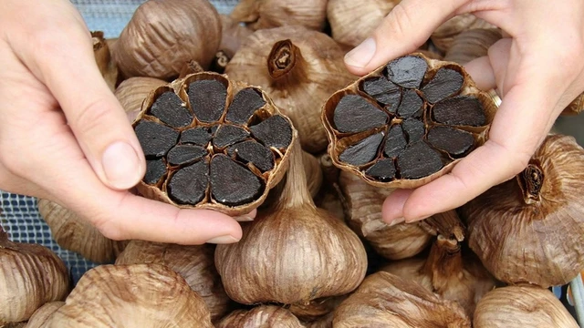 bai-viet/toi-den-co-tac-dung-gi-cach-lam-toi-den-tai-nha-dam-bao-chat-luong-tiet-kiem-chi-phi.html